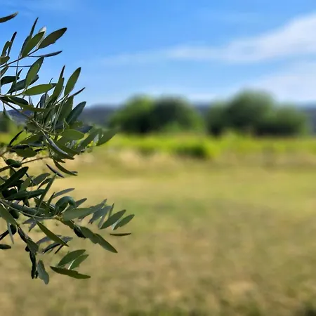 Le Jardin Du Grand Chemin Baron (Gard)