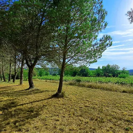 Le Jardin Du Grand Chemin Feriehus *