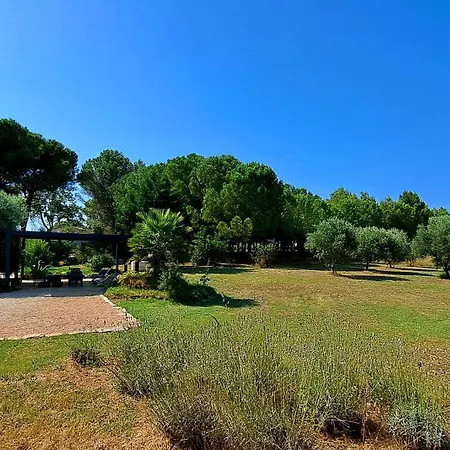 Le Jardin Du Grand Chemin * Baron (Gard)